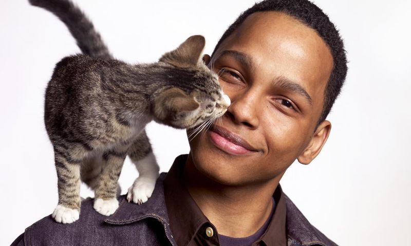 Why does your cat lick you? [LoveToKnowPets]