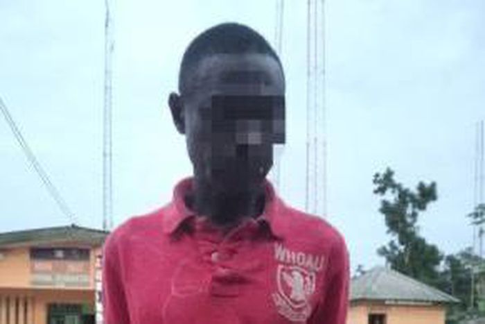 The police have arrested the suspect [Sahara Reporters]
