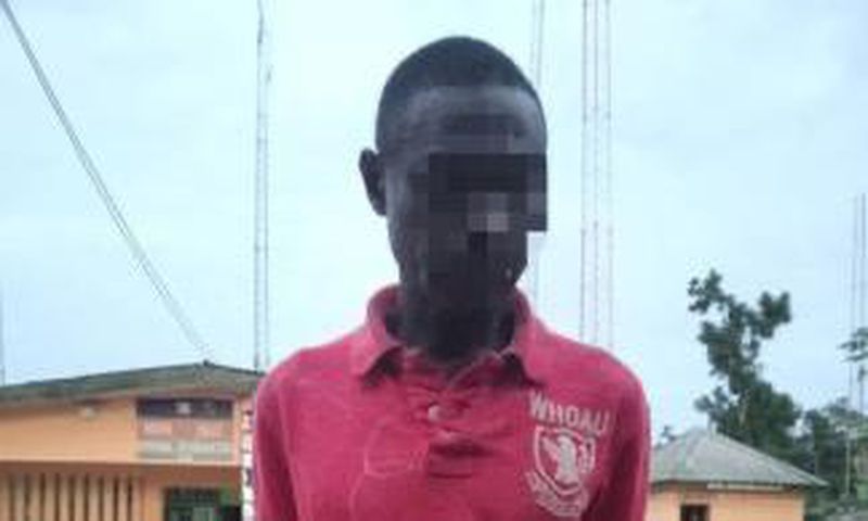 The police have arrested the suspect [Sahara Reporters]