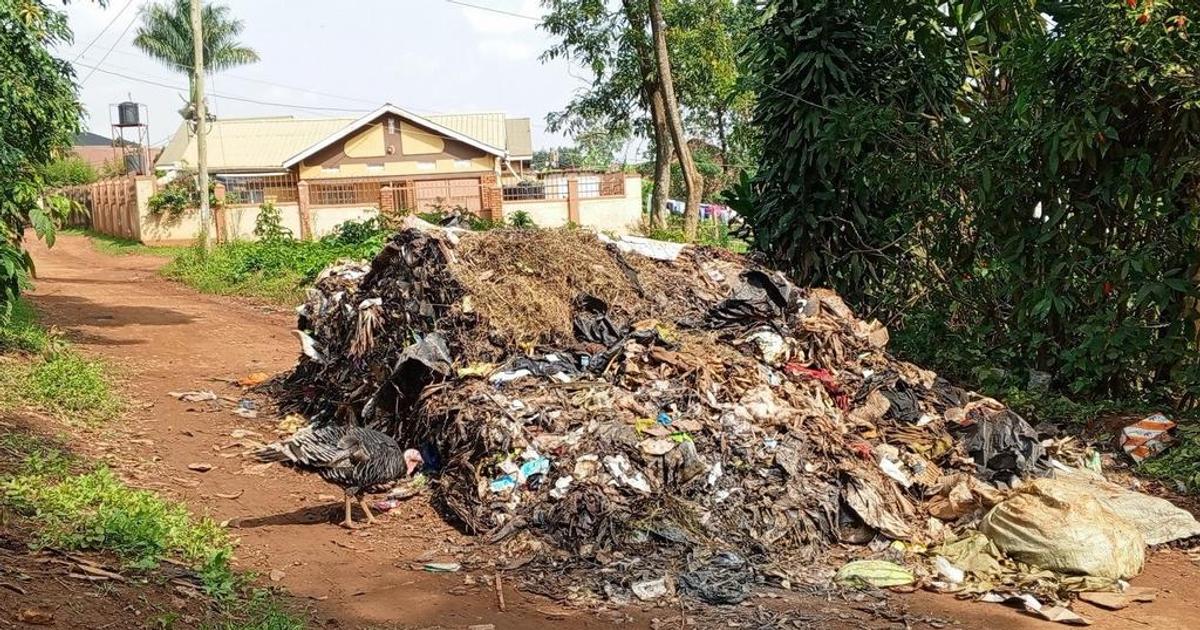 Kampala garbage crisis: Rats, diseases loom large as waste piles up ...