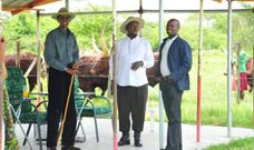 Andrew Mwenda has helped broker peace between Presidents Yoweri Museveni and Paul Kagame