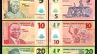 10 African countries that first introduced polymer banknotes
