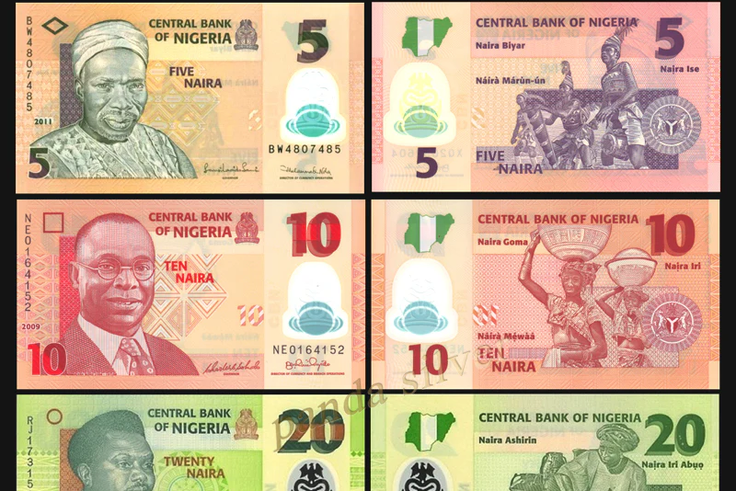 10 African countries that first introduced polymer banknotes
