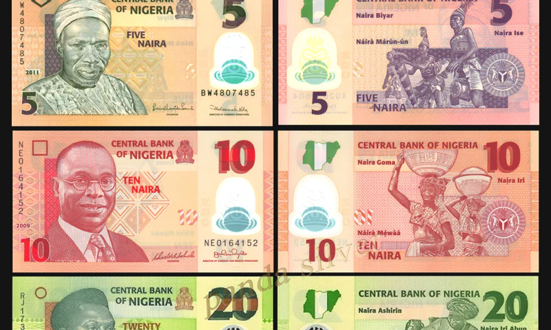10 African countries that first introduced polymer banknotes