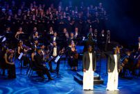 International Recognition But Domestic Neglect