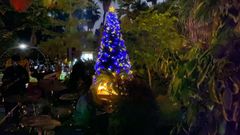 The Christmas Tree Lighting event featured various activities, including music performances by Janzi Band and barbecues.