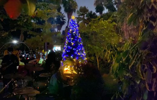 The Christmas Tree Lighting event featured various activities, including music performances by Janzi Band and barbecues.