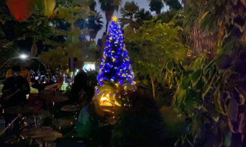 The Christmas Tree Lighting event featured various activities, including music performances by Janzi Band and barbecues.