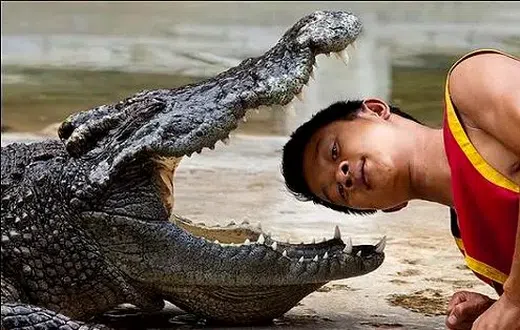 What are the most dangerous jobs in the world? [RVCJMedia]