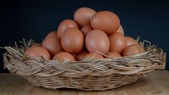 These are some reasons why you should never put eggs in the refrigerator