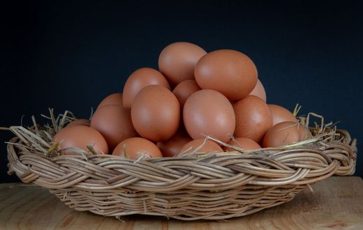 These are some reasons why you should never put eggs in the refrigerator