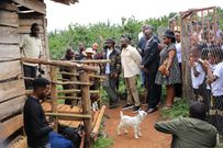 Ekyooto Ha Mpango Festival commenced in Fort Portal