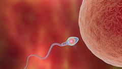 Unfortunately, male fertility is surrounded by myths that can create confusion and unnecessary stress.