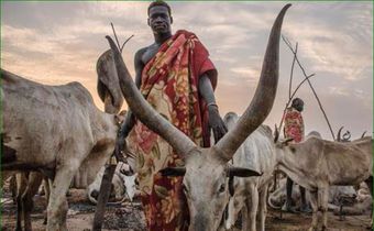 South Sudanese pastoralists