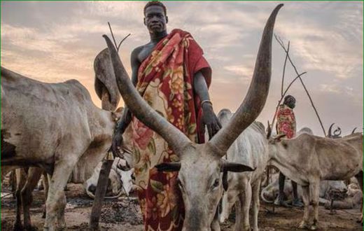 South Sudanese pastoralists