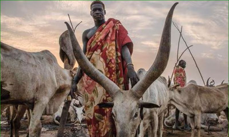 South Sudanese pastoralists