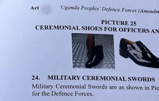 One of the most controversial sections of the law is how it affects civilians' dress, as the army has gazetted what were previously civilian clothes for themselves, leaving civilians frustrated