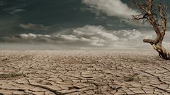 Places on Earth where it never rains [TheAlbertaSeed]