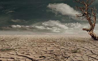 Places on Earth where it never rains [TheAlbertaSeed]
