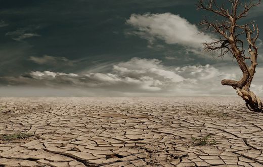 Places on Earth where it never rains [TheAlbertaSeed]