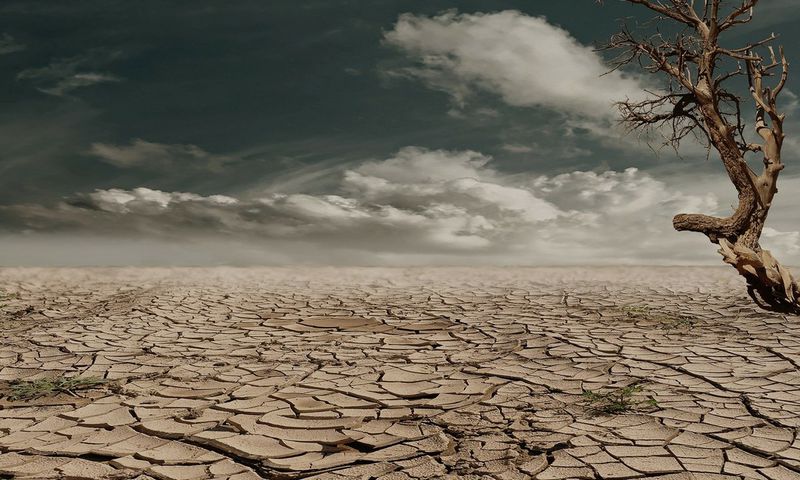 Places on Earth where it never rains [TheAlbertaSeed]