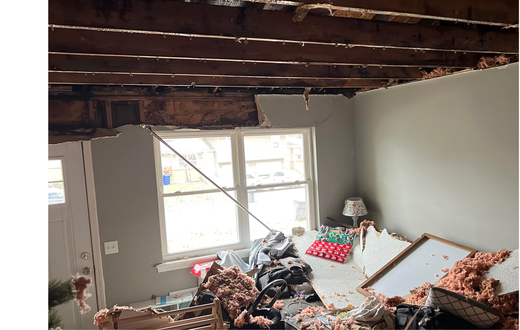 Signs the ceiling of your house is going to collapse [reddit]