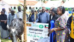 5 families recieved a cow each at the event