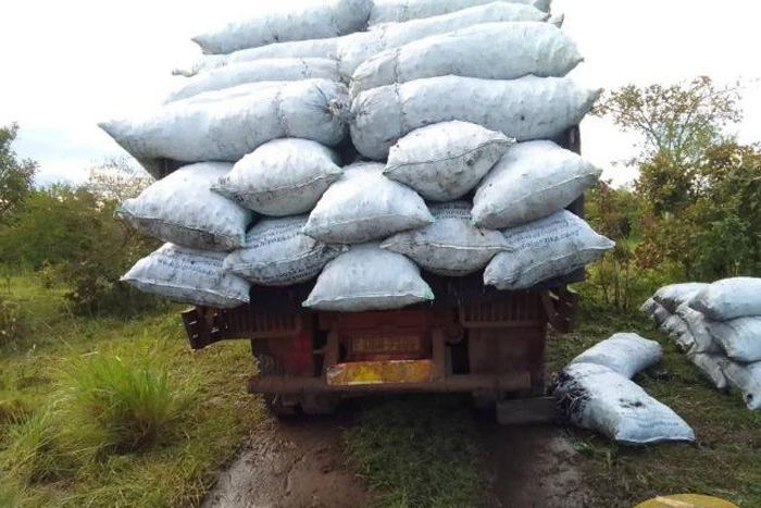 Security have stepped up operations targeting charcoal businesses in Northern Uganda