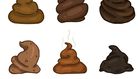 What the colour of your poop says about your  health [shuttershock]