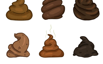 What the colour of your poop says about your  health [shuttershock]