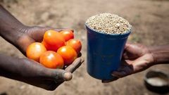 Trade by batter still exists in some countries [LinkedIn]