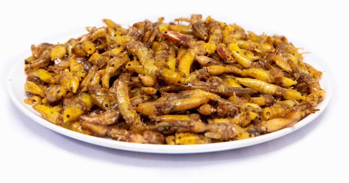 Nsenene more nutritious than chicken | Pulse Uganda