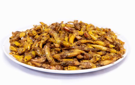 A plateful of Nsenene