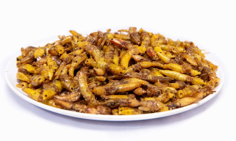 A plateful of Nsenene