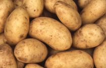 Potatoes [iStock]