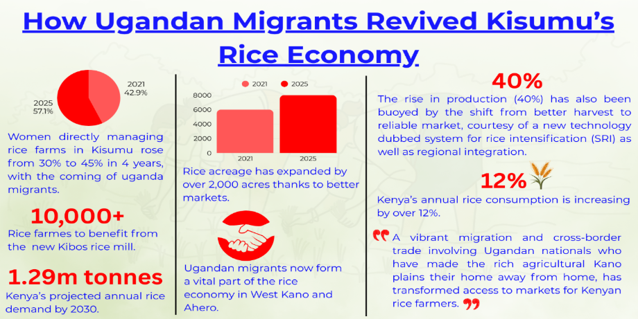 Summary of how migration has impacted rice farming in Nyando/Viola Kosome