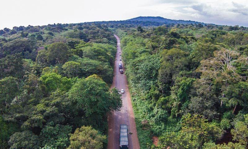 Jinja Road through Mabira Forest