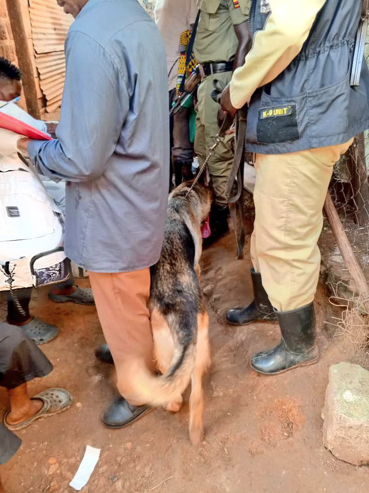 Police tracked down the suspect with a K9