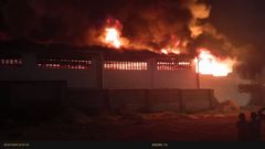 Image from the scene