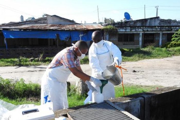 WHO Regional Office for Africa