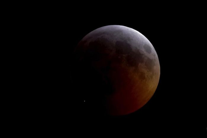 During the Lunar Eclipse, Something Slammed Into the Moon