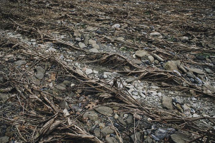 Farm Country Stood by Trump. But the Shutdown Is Pushing It to Breaking Point.