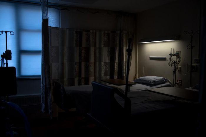 Fungus Immune to Drugs Secretly Sweeps the Globe