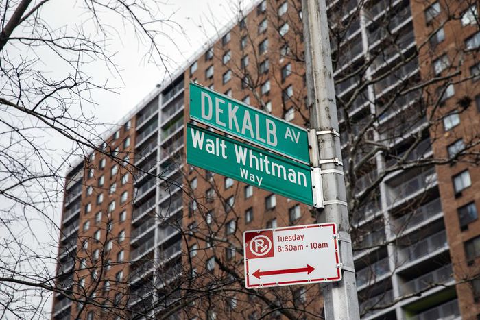 Should Walt Whitman's House Be Landmarked? It's Complicated