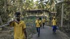 Corralling Rabies, One Street Dog at a Time