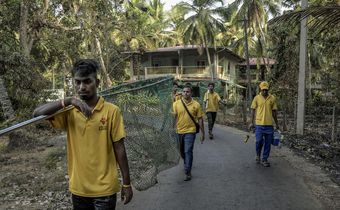 Corralling Rabies, One Street Dog at a Time