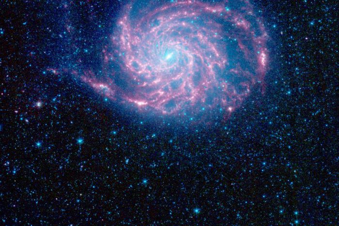 For 16 Years, These Infrared Eyes Revealed the Secrets of the Cosmos