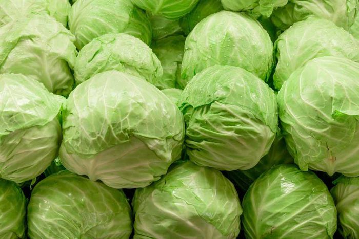 Cabbage(Jesmond Fruit Barn)