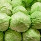 Cabbage(Jesmond Fruit Barn)