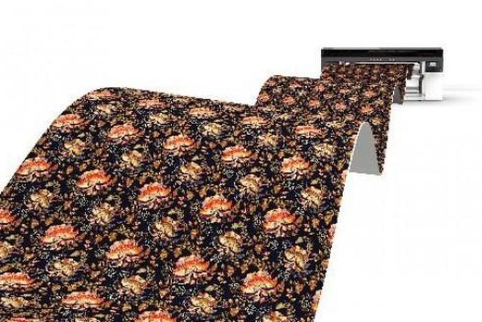 Canon Central and North Africa (CCNA)